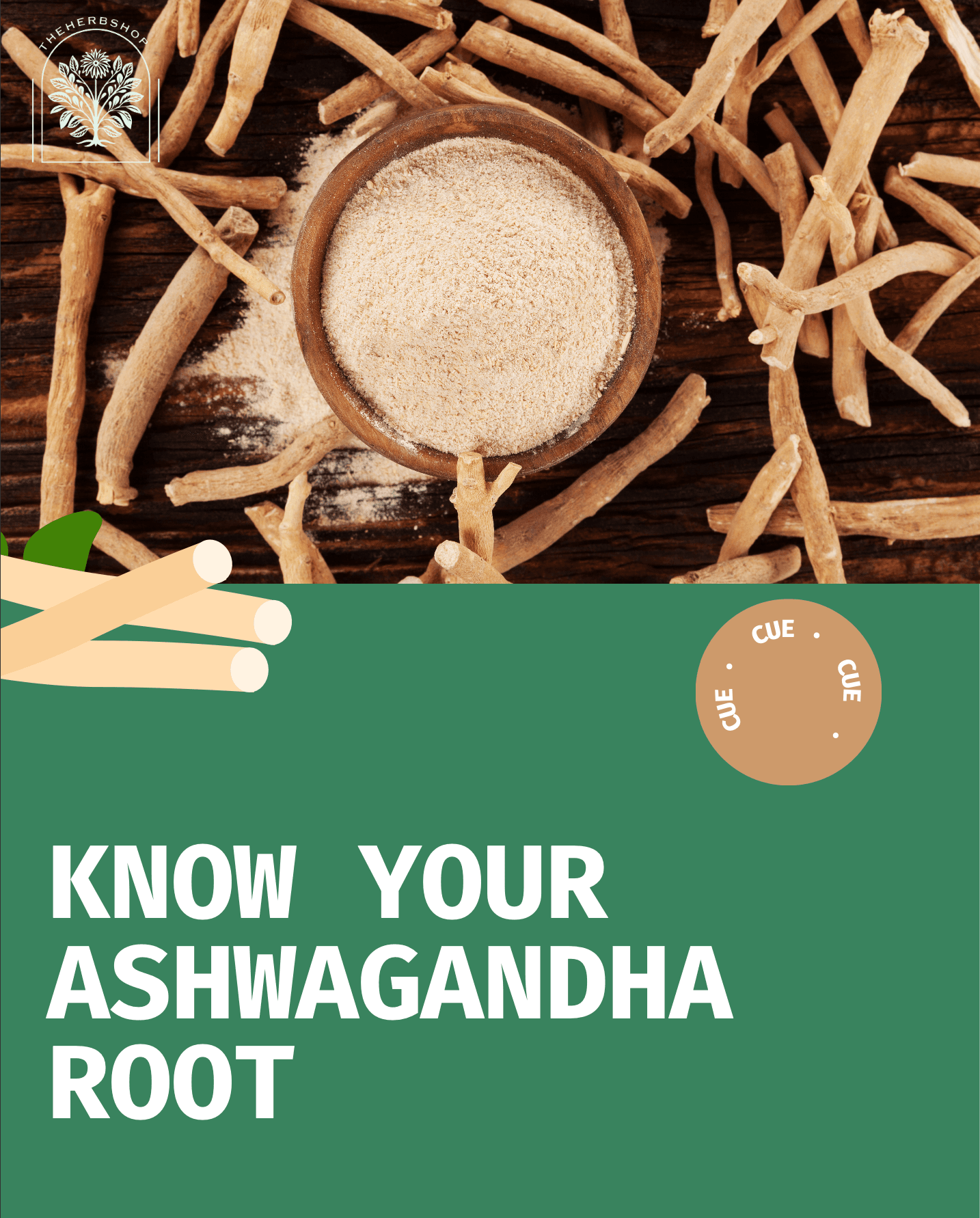 Know Your Ashwagandha Root - Premium ashwagandha root powder and dried roots