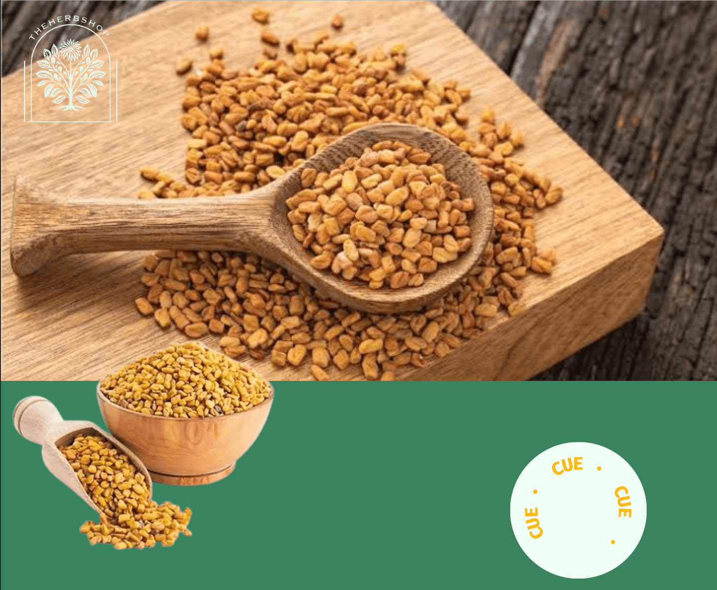Fenugreek: The Ancient Seed with Modern Health Benefits