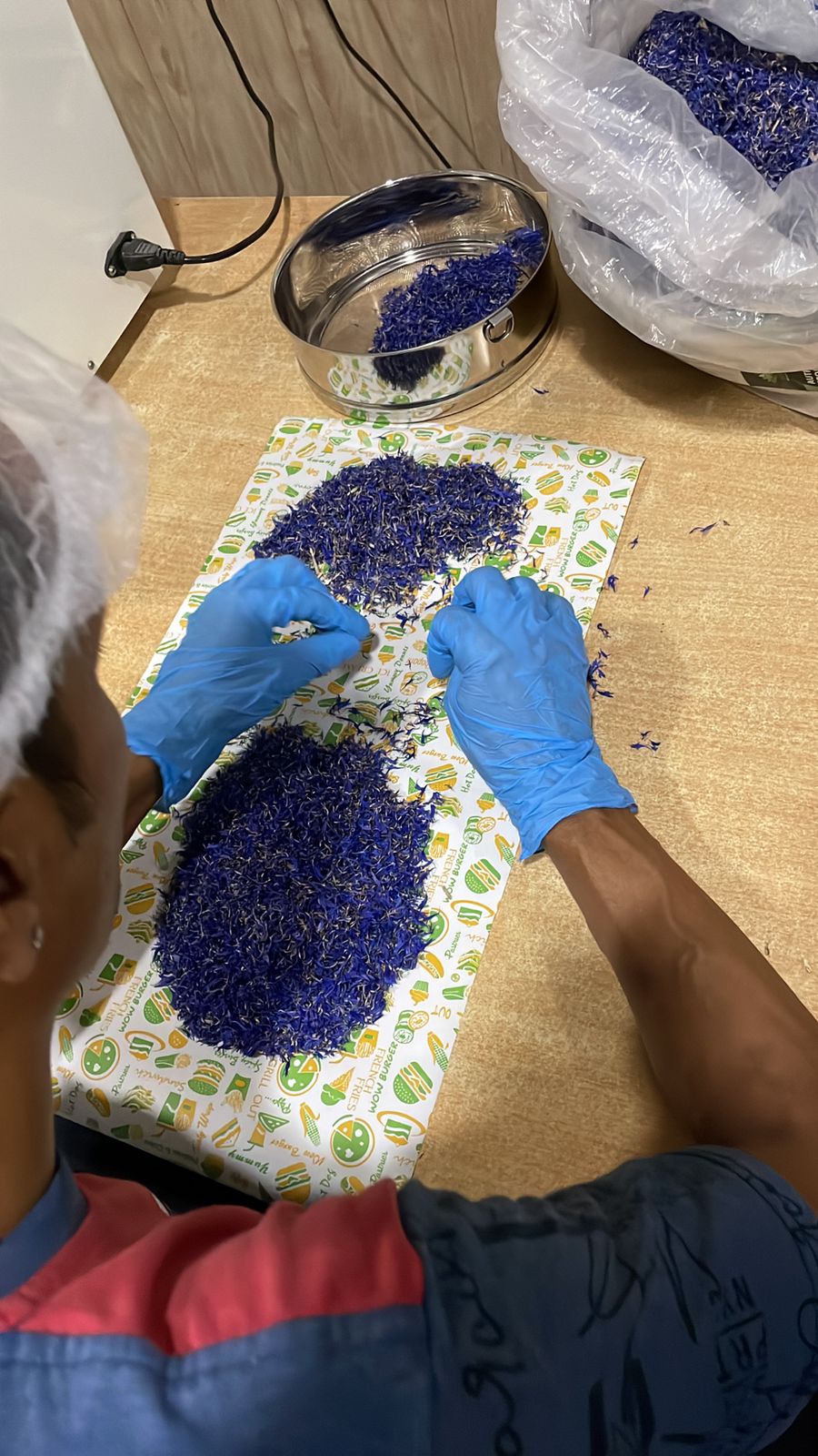 Premium butterfly pea flowers being processed and quality checked in Bareli, India